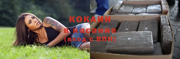 стафф Алексин