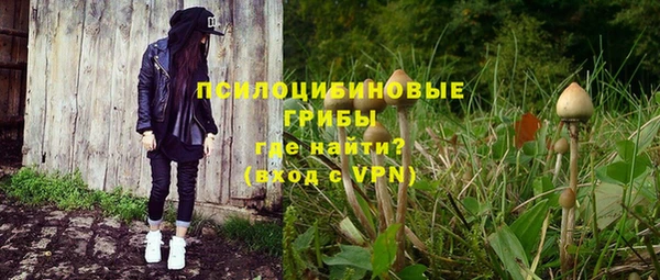 стафф Алексин