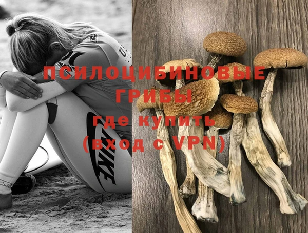 соль курить ск Алексеевка