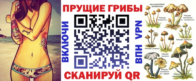 Псилоцибиновые грибы прущие грибы  Гуково 