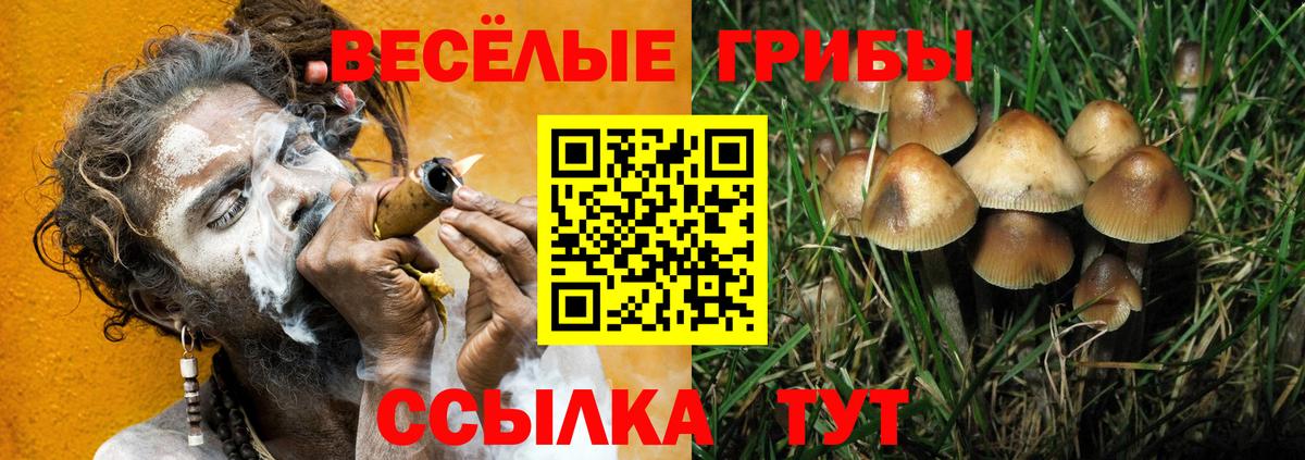 Галлюциногенные грибы Magic Shrooms  Вход с VPN  Гуково 